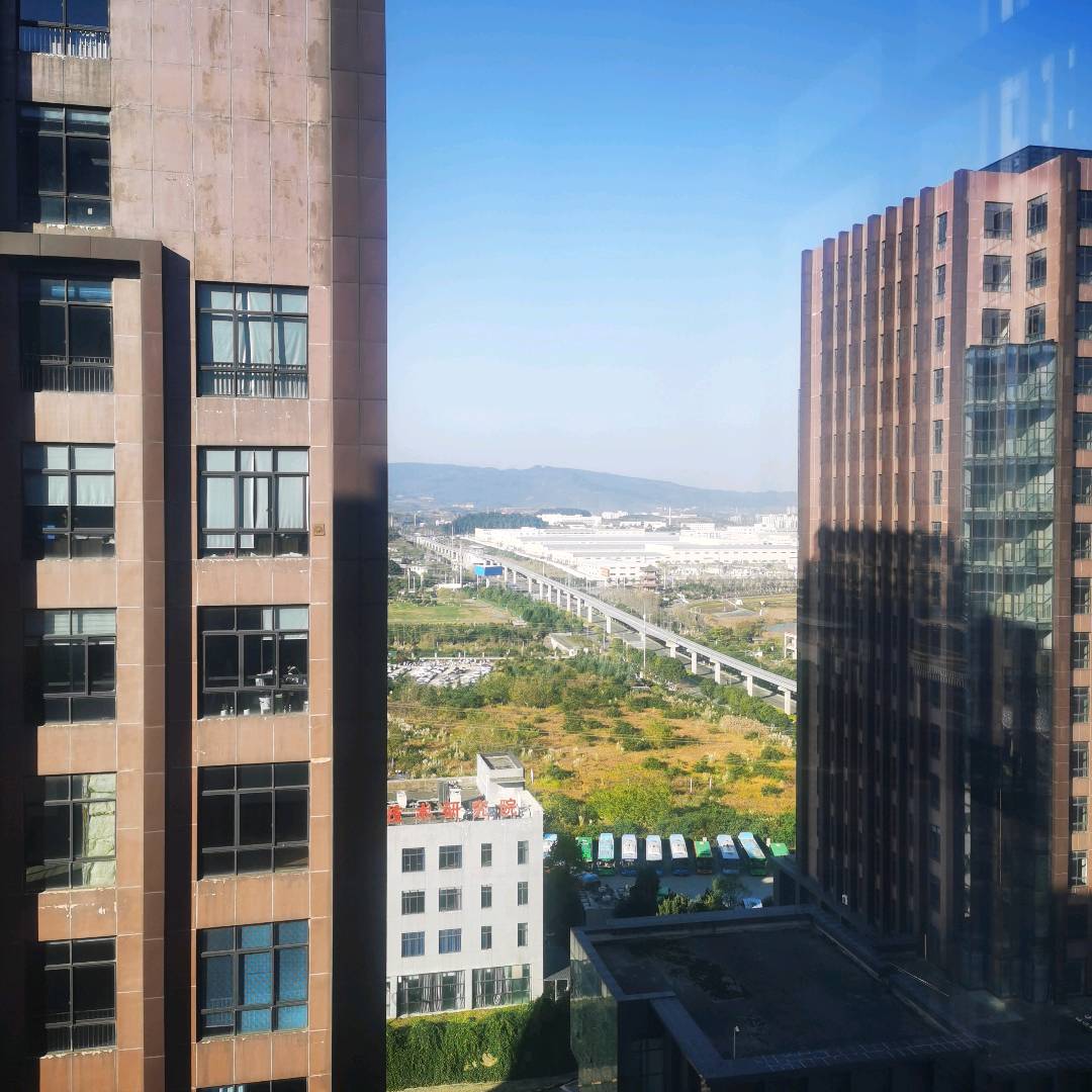 2025年11月24日 星期二 贵阳 

今天的贵阳，天空是那种洗过的蓝，阳光慷慨地洒满每个角落，但风成了绝对的主角。清晨推开窗，一股清冽的空气扑面而来，瞬间驱散了最后一点睡意。

🌬️ 晨间 ·...