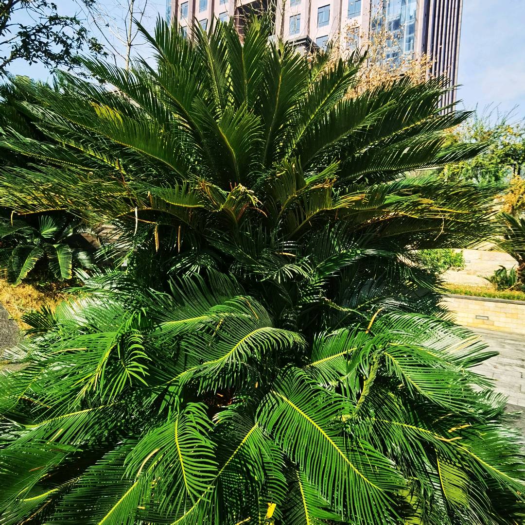 换房的好时
        房子跌了40%，从200万变120万，一堆人哭天喊地，说半辈子白干了。我觉得，这是老天爷在给你换房开绿灯呢？你琢磨琢磨，你那套房，就一套，你卖吗？不卖，那就是个纸上富贵，涨...